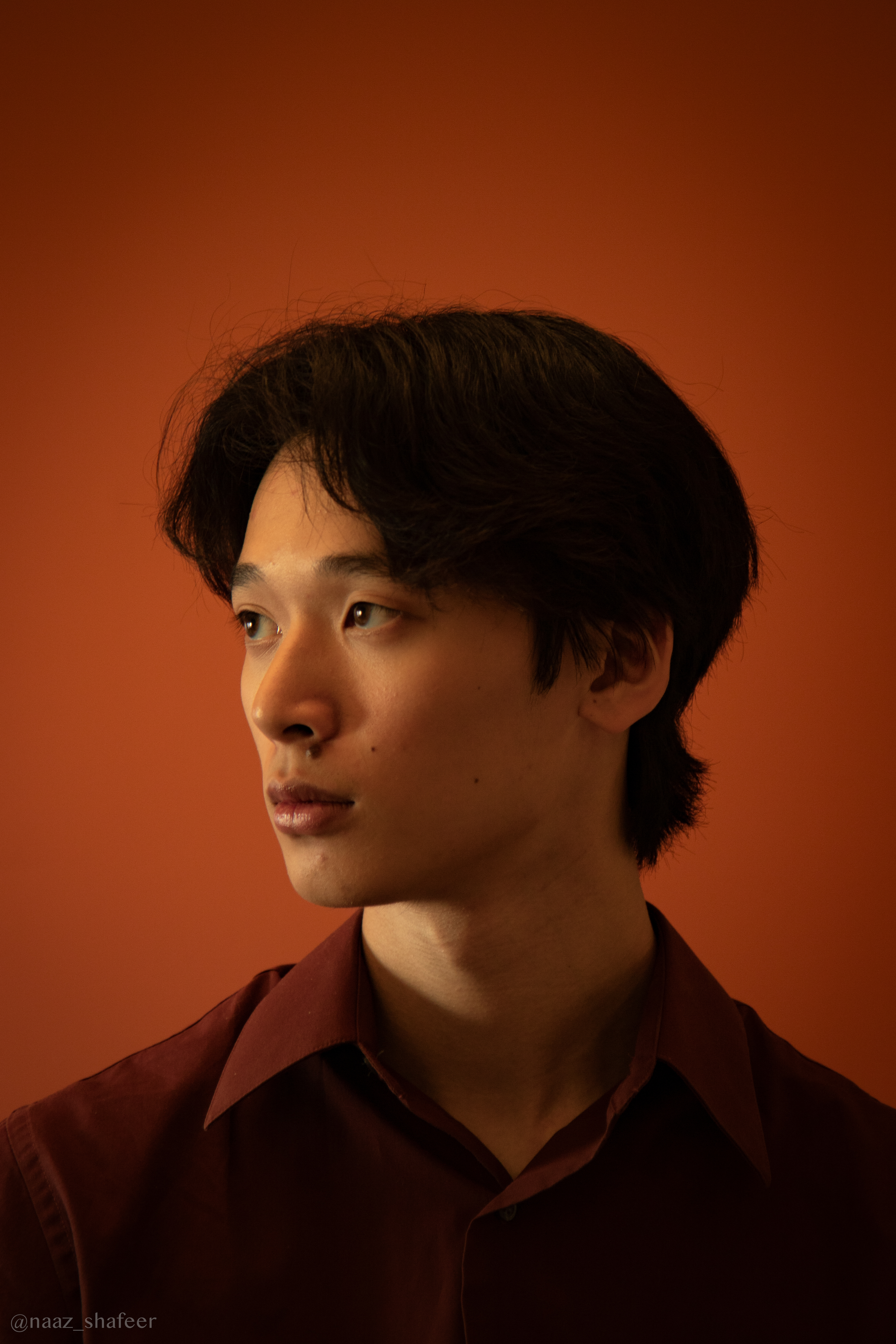 Light and Shadow on the Face